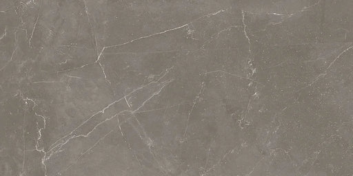 Dettaglio piastrella in gres porcellanato effetto marmo lucido della collezione Elegance di Ceramica Settecento, formato 30x60 cm, colore Taupe