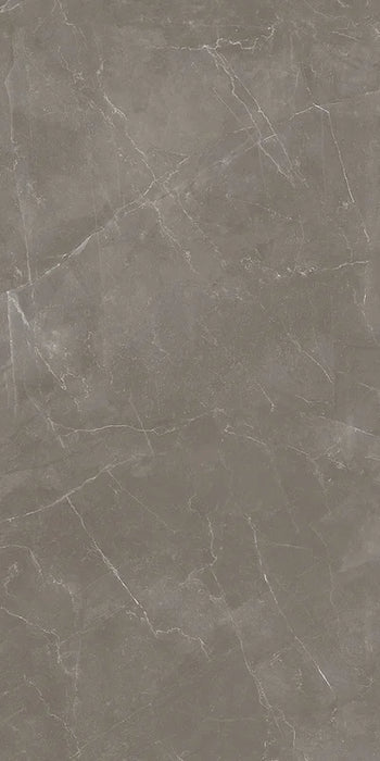 Dettaglio piastrella in gres porcellanato effetto marmo lucido della collezione Elegance di Ceramica Settecento, formato 60x120 cm, colore Taupe