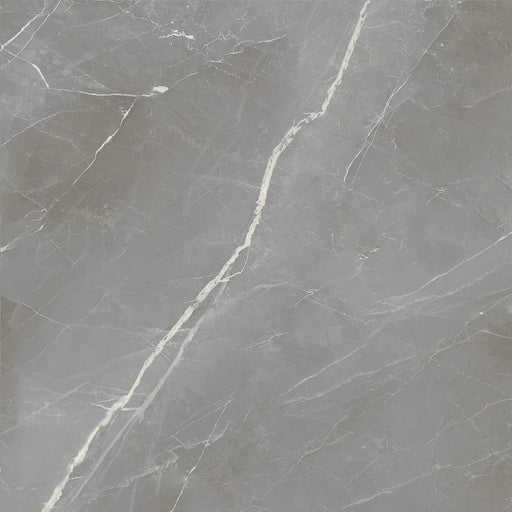 Dettaglio piastrella in gres porcellanato effetto marmo opaco della collezione Elegance di Ceramica Settecento, formato 60x60 cm, colore Silver