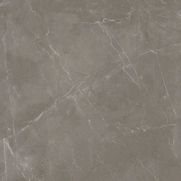 Dettaglio piastrella in gres porcellanato effetto marmo lucido della collezione Elegance di Ceramica Settecento, formato 60x60 cm, colore Taupe