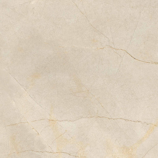 dettaglio piastrella in gres porcellanato effetto metallo ossidato 80x80 della collezione La Geoteca nella colorazione Marfil di gardenia orchidea