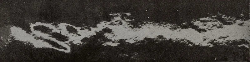 Dettaglio Piastrella da rivestimento in gres porcellanato serie Miniature Soda di Marca Corona, effetto mattoncino vintage, formato 6x24 cm, Colore Nero Magma