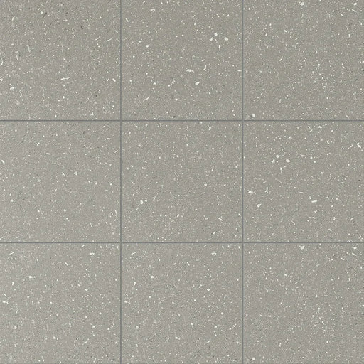 Dettaglio Piastrella da pavimento e rivestimento in gres porcellanato serie Terrasale di Marca Corona, effetto graniglia, opaco, formato 20x20 cm, Colore Cenere