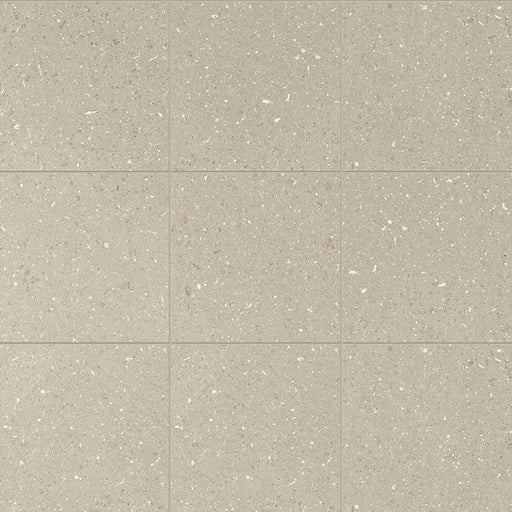 Dettaglio Piastrella da pavimento e rivestimento in gres porcellanato serie Terrasale di Marca Corona, effetto graniglia, opaco, formato 20x20 cm, Colore Sabbia