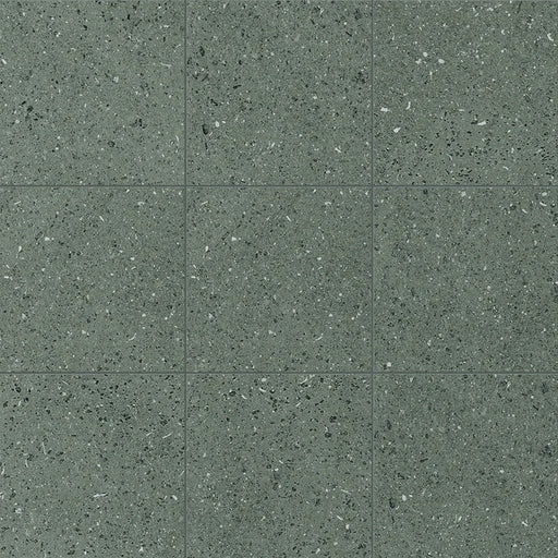 Dettaglio Piastrella da pavimento e rivestimento in gres porcellanato serie Terrasale di Marca Corona, effetto graniglia, opaco, formato 20x20 cm, Colore Bosco