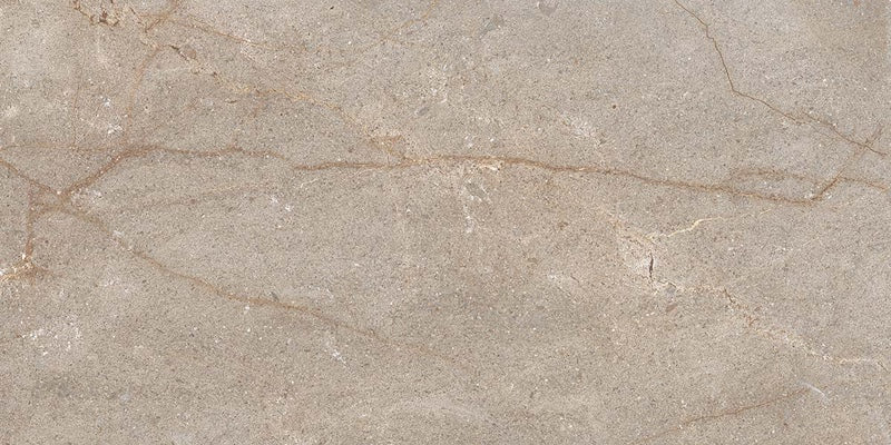 Dettaglio piastrella in gres porcellanato effetto pietra. Percorsi Frame di ceramiche keope 30x60 colore Imperiale Walnut