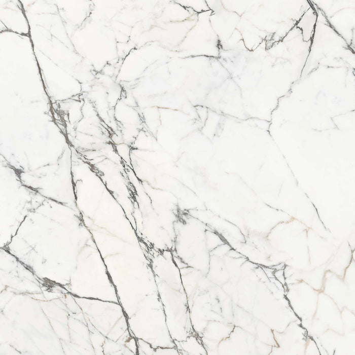 Piastrella per pavimenti e rivestimenti dal design sofisticato ed elegante in gres porcellanato effetto marmo opaco 3D leggermente strutturato, ideale per ambienti moderni e raffinati. Collezione La Marmoteca di Gardenia Orchidea, formato 120x120 cm, colore Statuario Spider