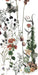 Piastrella da rivestimento in gres effetto carta da parati, lucido, della collezione Paper41 Lux di 41zero42, 60x120 cm, Decoro Franz