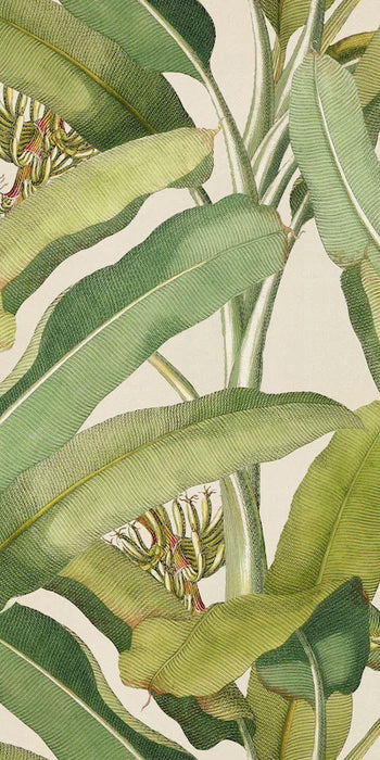 Piastrella da rivestimento in gres ultrasottile effetto carta da parati, opaco, della collezione Paper41 Pro di 41zero42, 50x100 cm, Decoro natural Musa