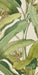 Piastrella da rivestimento in gres ultrasottile effetto carta da parati, opaco, della collezione Paper41 Pro di 41zero42, 50x100 cm, Decoro natural Musa