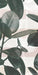 Piastrella da rivestimento in gres ultrasottile effetto carta da parati, opaco, della collezione Paper41 Pro di 41zero42, 50x100 cm, Decoro natural Olivia