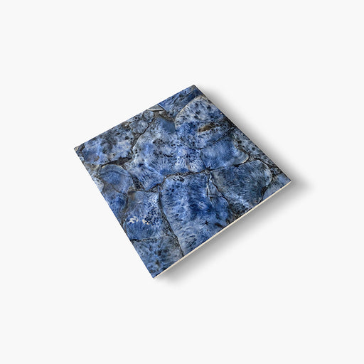 Dettaglio piastrella per pavimento e rivestimento in gres porcellanato effetto fondale marino. Collezione Swimming Sea di Ceramica Valsecchia, formato 15x15, Reef Ocean