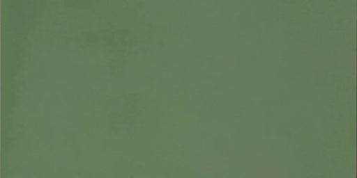 Dettaglio piastrella in gres porcellanato effetto cemento nuvolato della collezione R-Evolution di Casalgrande, formato 30x60 cm, colore Green