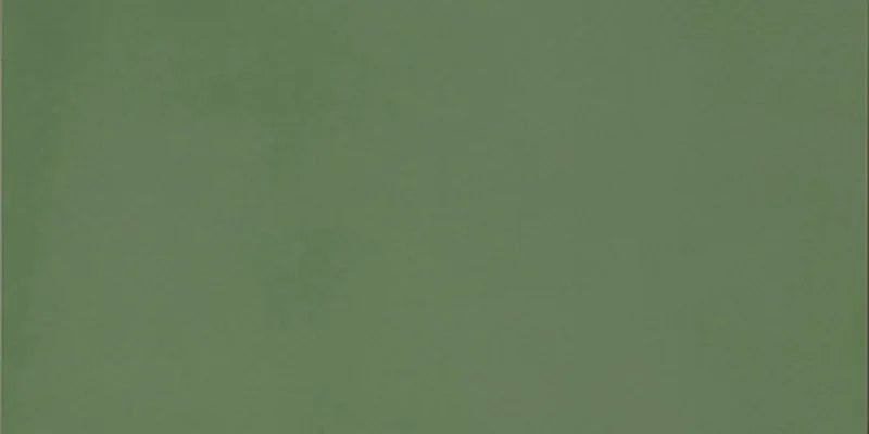 Dettaglio piastrella in gres porcellanato effetto cemento nuvolato della collezione R-Evolution di Casalgrande, formato 30x60 cm, colore Green