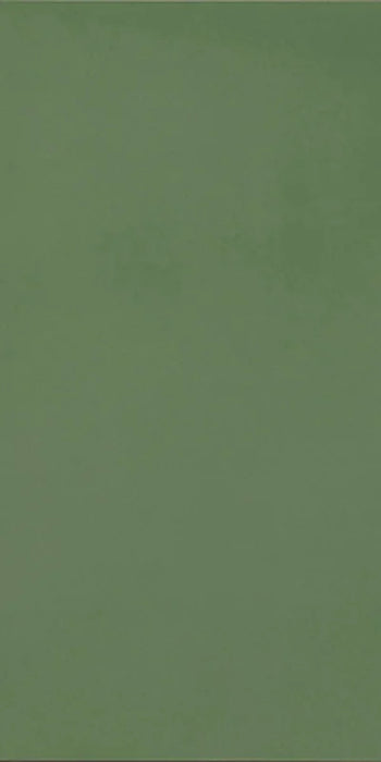 Dettaglio piastrella in gres porcellanato effetto cemento nuvolato della collezione R-Evolution di Casalgrande, formato 60x120 cm, colore Green