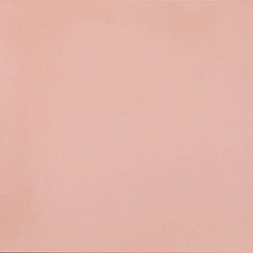 Dettaglio piastrella in gres porcellanato effetto cemento nuvolato della collezione R-Evolution di Casalgrande, formato 60x60 cm, colore Light Pink