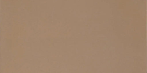 Dettaglio piastrella in gres porcellanato effetto cemento nuvolato della collezione R-Evolution di Casalgrande, formato 30x60 cm, colore Terra