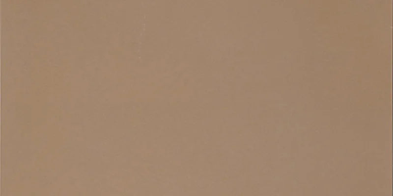 Dettaglio piastrella in gres porcellanato effetto cemento nuvolato della collezione R-Evolution di Casalgrande, formato 30x60 cm, colore Terra