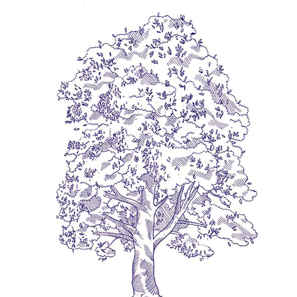 Piastrelle lucide in gres decorate con disegni a penna blu, formato 10x10 cm, collezione Stories di 41zero42, colore Eddie Lux