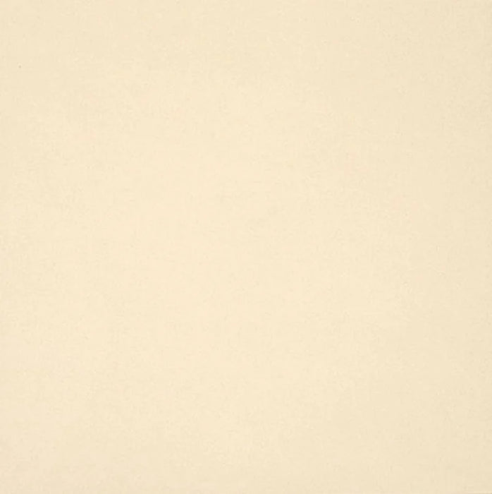 Gres porcellanato Unicolore Bianco A 20x20 Casalgrande Padana, effetto tinta unita opaco.