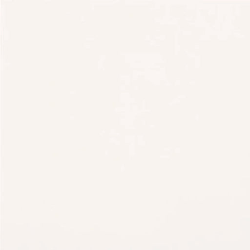 Gres porcellanato Unicolore Bianco Assoluto 20x20 Casalgrande Padana, effetto tinta unita opaco.