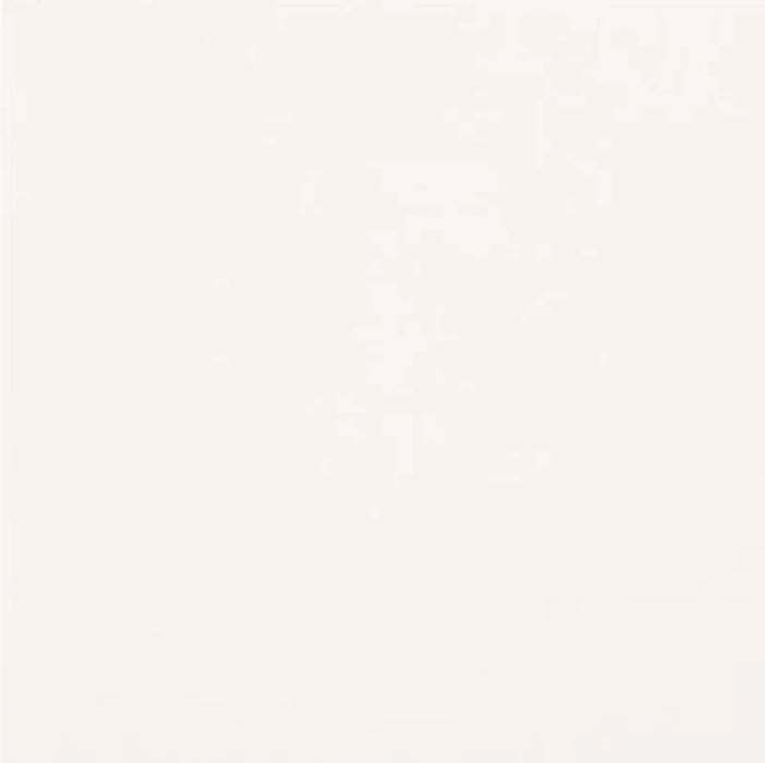 Gres porcellanato Unicolore Bianco Assoluto 20x20 Casalgrande Padana, effetto tinta unita opaco.