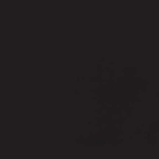 Gres porcellanato Unicolore Nero 20x20 Casalgrande Padana, effetto tinta unita opaco.