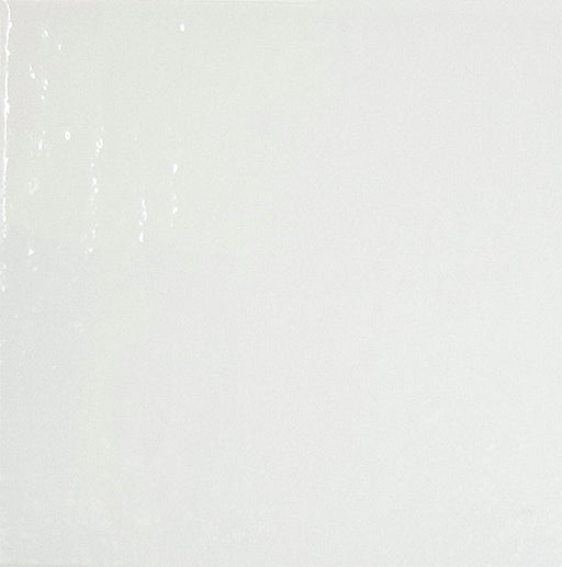 Dettaglio Piastrella da pavimento e rivestimento in gres porcellanato serie Colors di Savoia Italia, colore Bianco Lucido 21x21