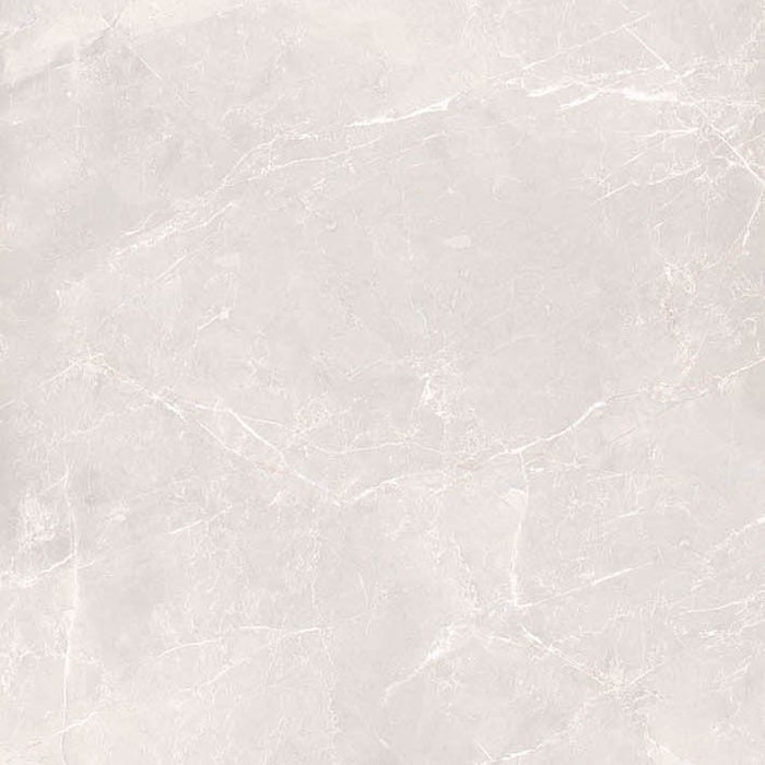 Dettaglio Piastrella da pavimento e rivestimento in gres porcellanato effetto marmo lucido serie Marmi pregiati di Herberia Ceramiche, colore Pulpis Gris formato 60x60 1