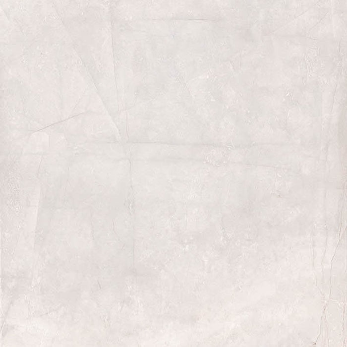 Dettaglio Piastrella da pavimento e rivestimento in gres porcellanato effetto marmo lucido serie Marmi pregiati di Herberia Ceramiche, colore Pulpis Gris formato 60x60 2