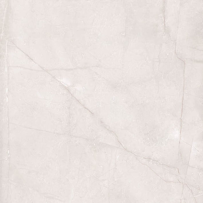 Dettaglio Piastrella da pavimento e rivestimento in gres porcellanato effetto marmo lucido serie Marmi pregiati di Herberia Ceramiche, colore Pulpis Gris formato 60x60 4