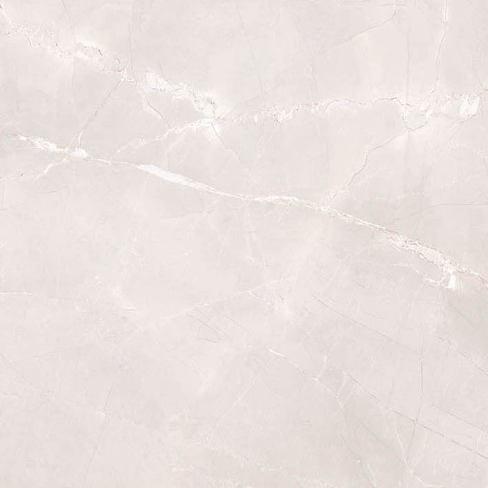 Dettaglio Piastrella da pavimento e rivestimento in gres porcellanato effetto marmo lucido serie Marmi pregiati di Herberia Ceramiche, colore Pulpis Gris formato 60x60 5