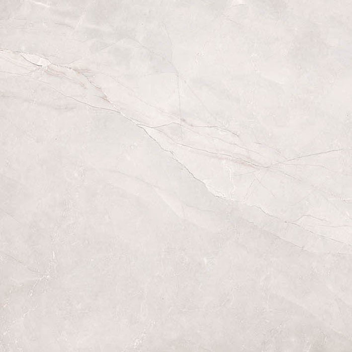 Dettaglio Piastrella da pavimento e rivestimento in gres porcellanato effetto marmo lucido serie Marmi pregiati di Herberia Ceramiche, colore Pulpis Gris formato 60x60 7