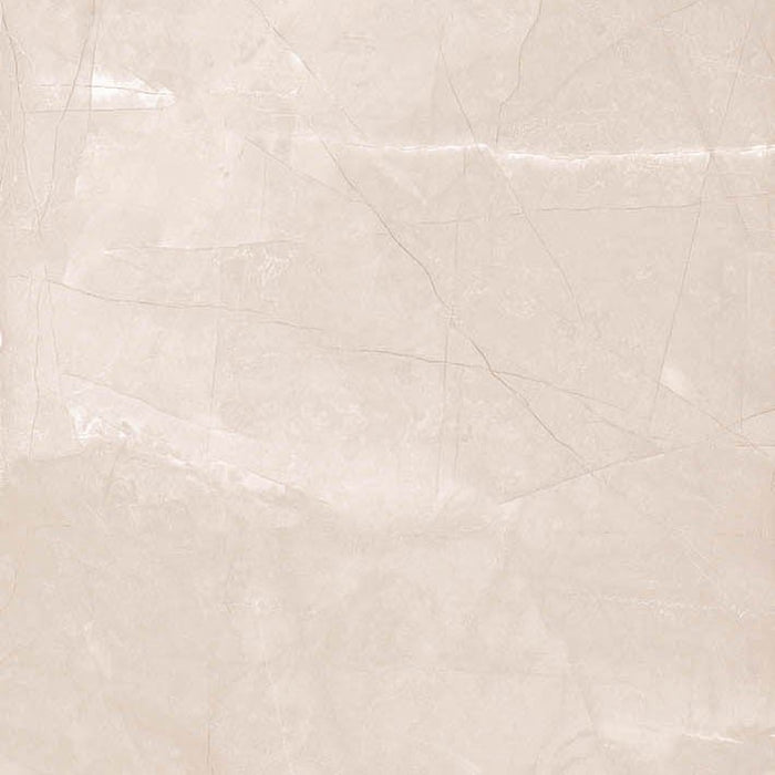 Dettaglio Piastrella da pavimento e rivestimento in gres porcellanato effetto marmo lucido serie Marmi pregiati di Herberia Ceramiche, colore Pulpis Taupe formato 60x60 3